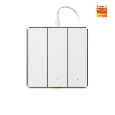 Tuya WIFI touch Switch Smart home dengan Type C Timing Voice App Alexa, Google Home RF433 Smart EU Wall Light Button Switch